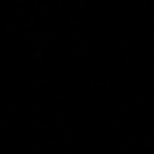 Meet your Posher, Elise